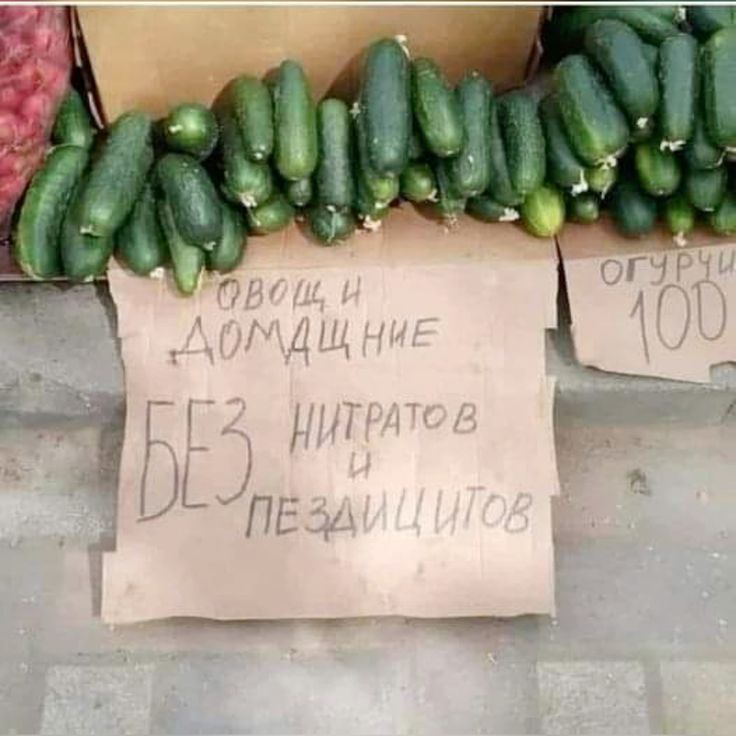 Овощи домашние БЕЗ нитратов и пезидицитов