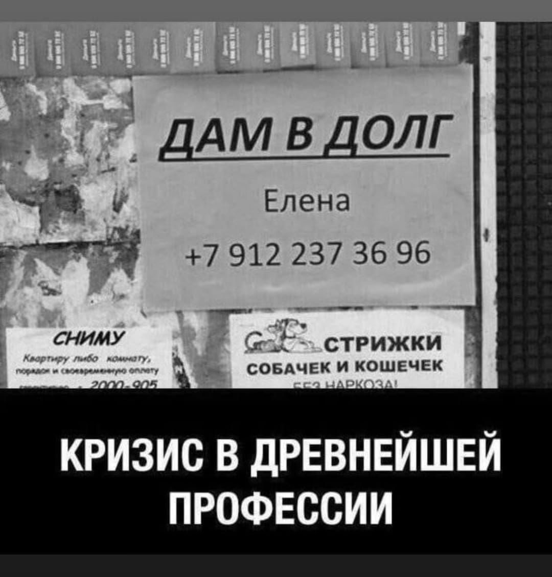 ДАМ В ДОЛГ
Елена
+7 912 237 36 96
КРИЗИС В ДРЕВНЕЙШЕЙ ПРОФЕССИИ
