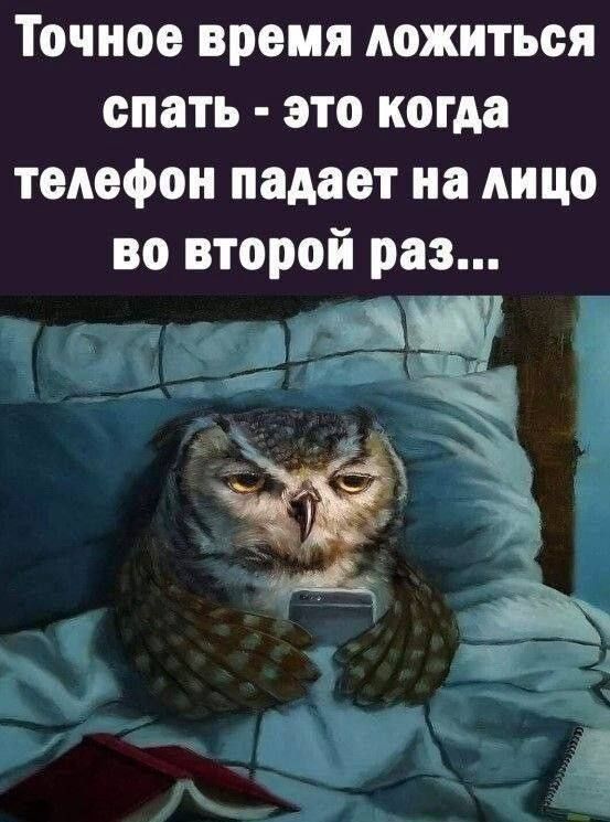 Точное время ложиться спать - это когда телефон падает на лицо во второй раз...