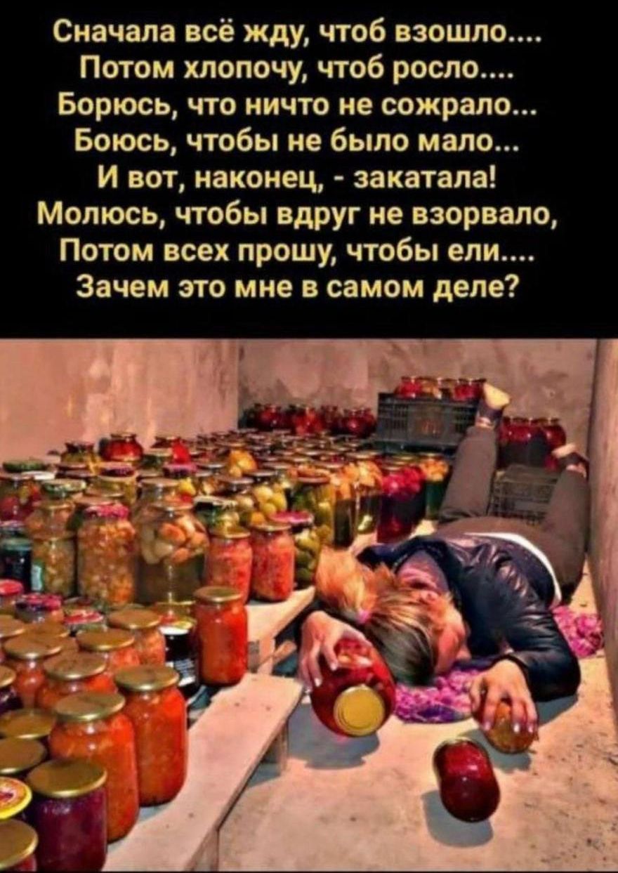Сначала всё жду, чтоб взошло....
Потом хлопочу, чтоб росло....
Борюсь, что ничего не сожрало...
Боюсь, чтобы не было мало...
И вот, наконец, - закатала!
Молюсь, чтобы вдруг не взорвалo,
Потом всех прошу, чтобы ели...
Зачем это мне в самом деле?