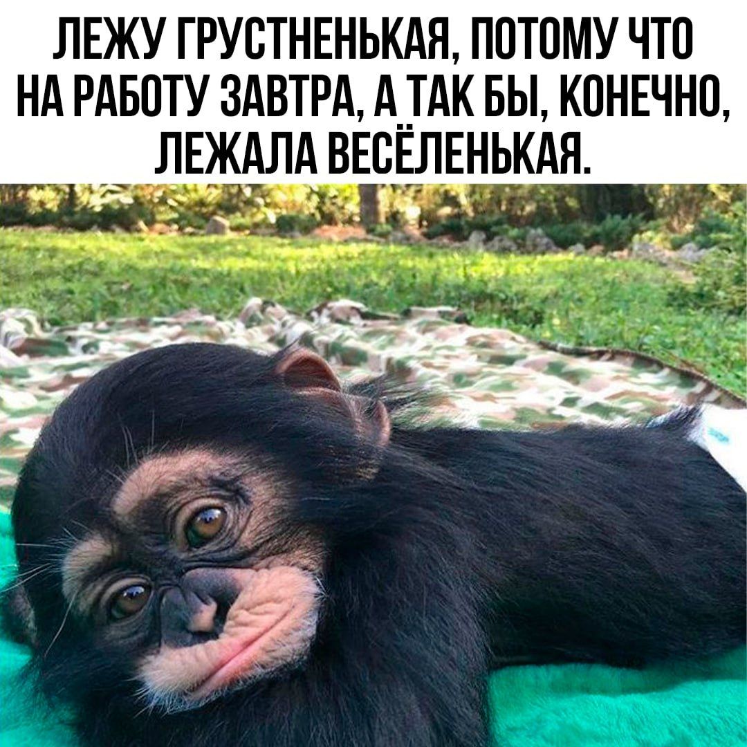 ЛЕЖУ ГРУСТНЬКАЯ, ПОТОМУ ЧТО НА РАБОТУ ЗАВТРА, А ТАК БЫ, КОНЕЧНО, ЛЕЖАЛА ВЕСЕЛЕНЬКАЯ.