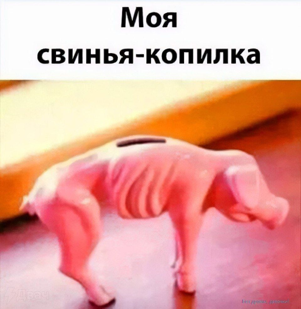 Моя свинья-копилка