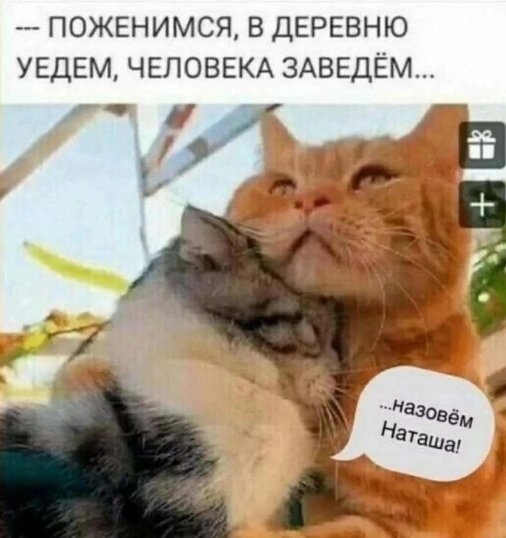 --- ПОЖЕНИМСЯ, В ДЕРЕВНЮ УЕДЕМ, ЧЕЛОВЕКА ЗАВЕДЁМ...
...назовём Наташа!