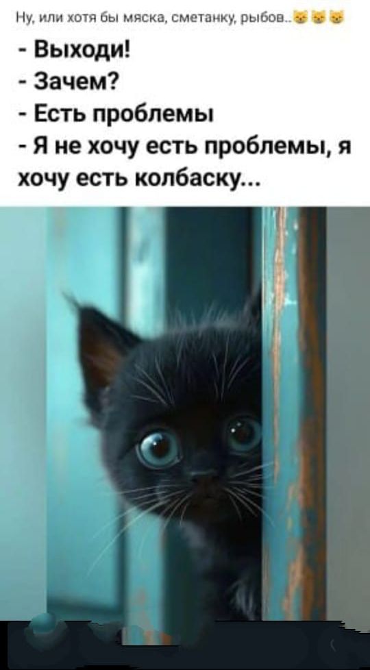 Выходи!
Зачем?
Есть проблемы
Я не хочу есть проблемы, я хочу есть колбаску...