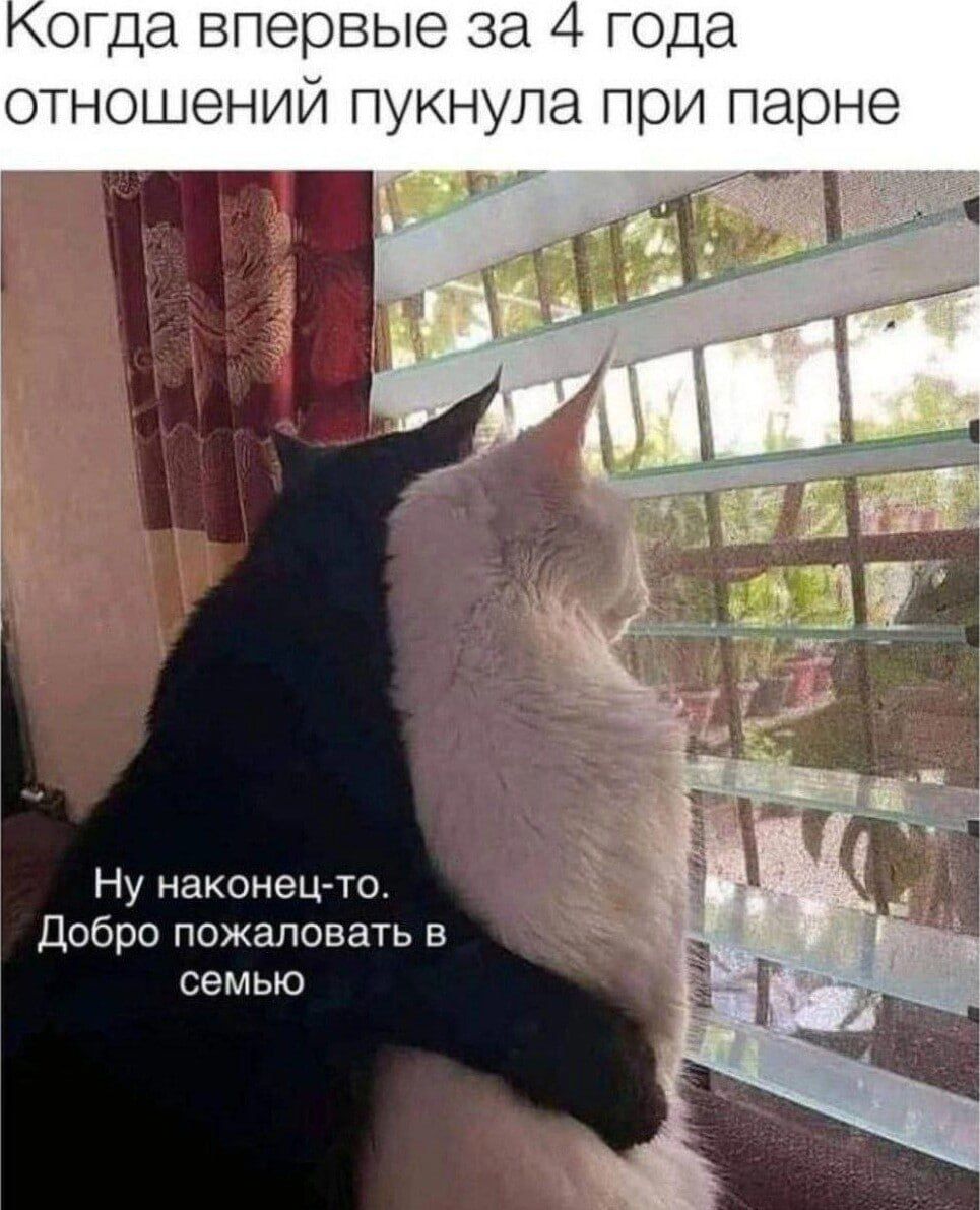 Когда впервые за 4 года отношений пукнула при парне
Ну наконец-то. Добро пожаловать в семью