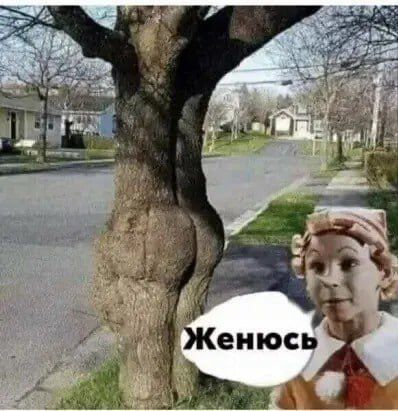 Женюсь