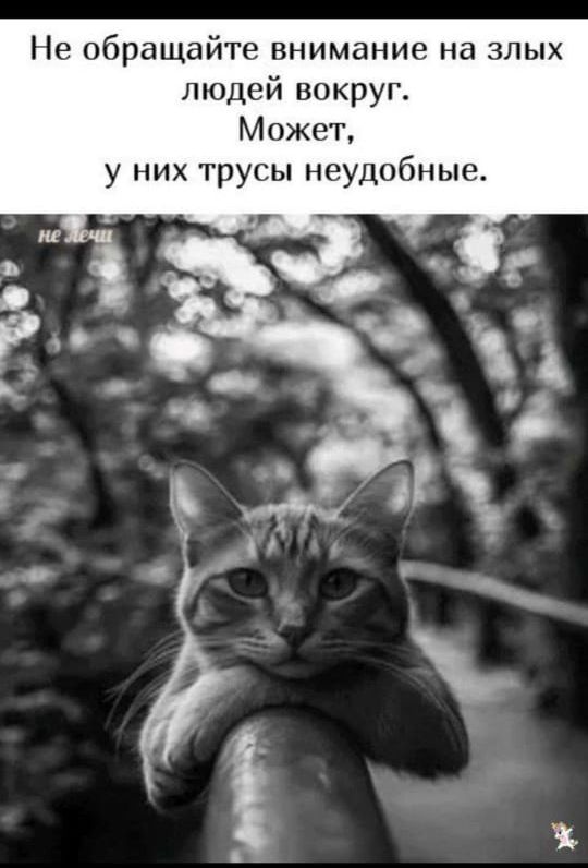 Не обращайте внимания на злых людей вокруг. Может, у них трусы неудобные.
не лчи