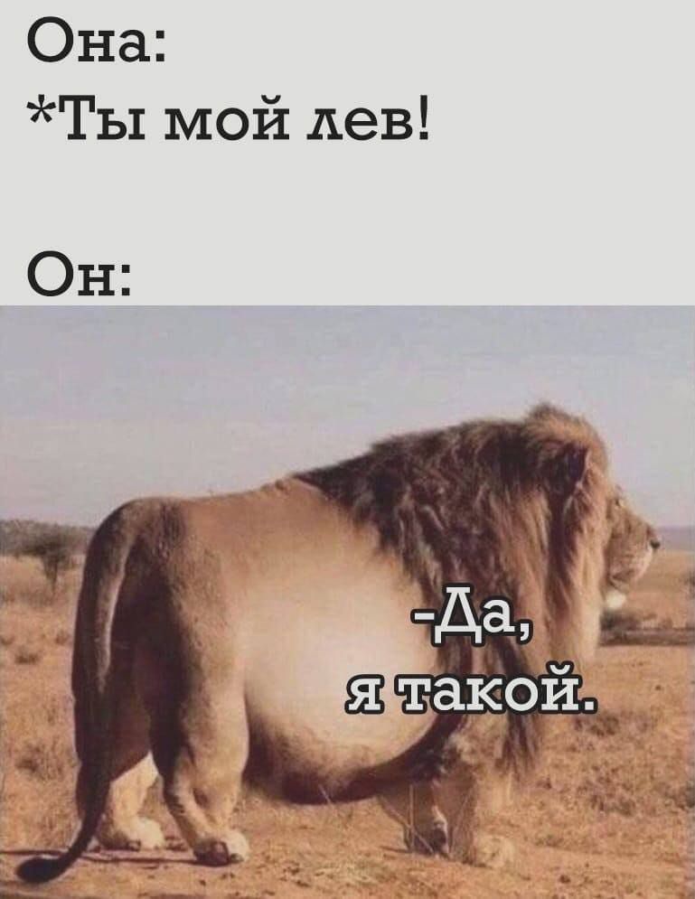 Она:
*Ты мой лев!
Он:
-Да, я такой.