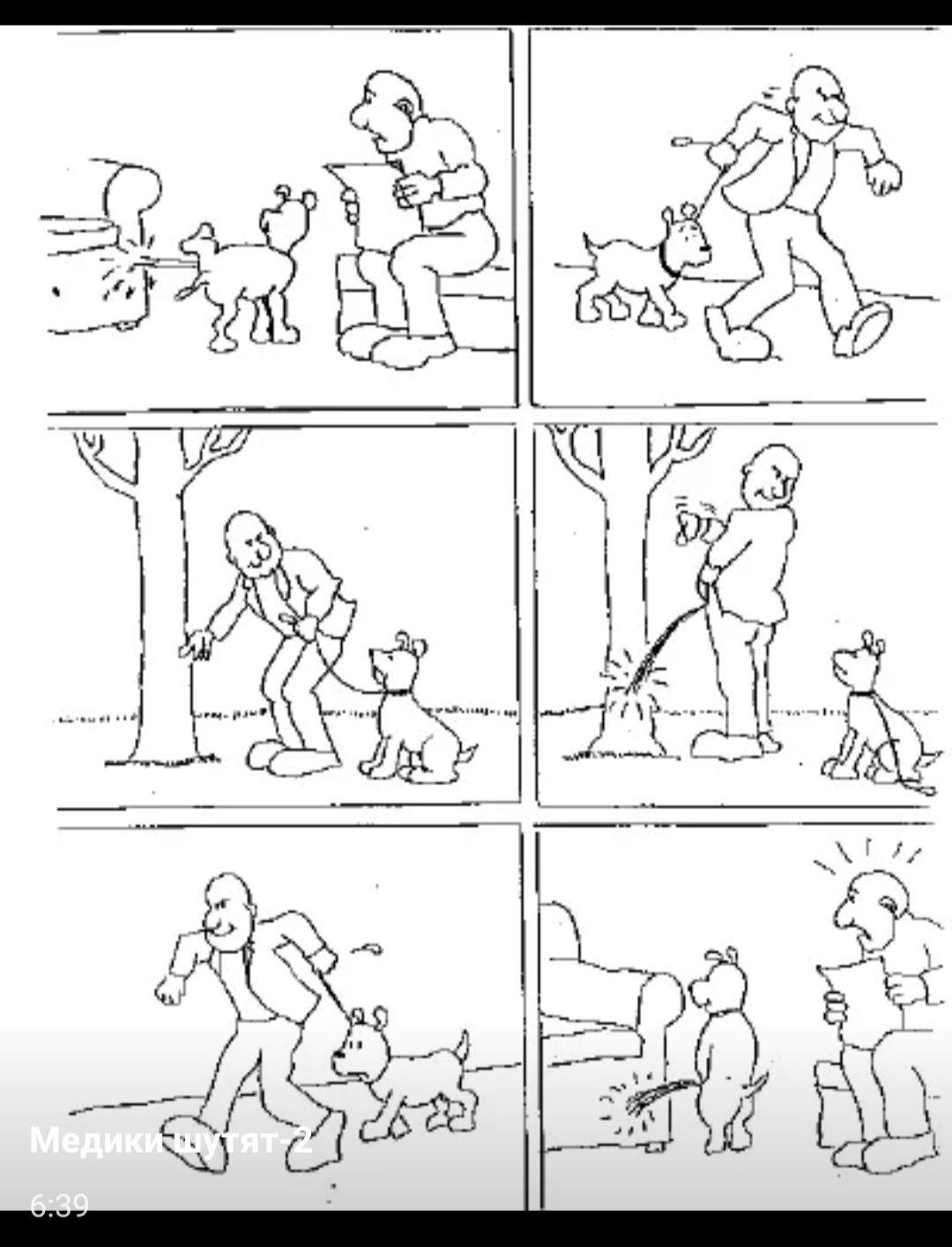 Комикс без слов: мужчина и собака в разных сценах прогулки в парке