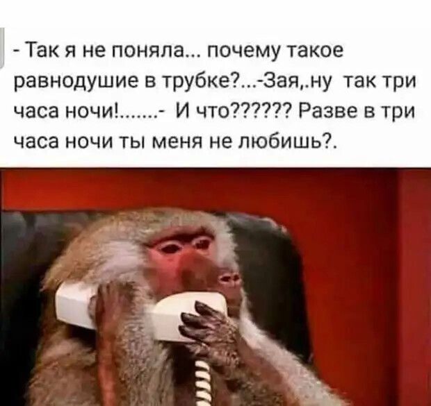 - Так я не поняла... почему такое равнодушие в трубке?... -Зая,ну так три часа ночи!......... И что?????? Разве в три часа ночи ты меня не любишь?