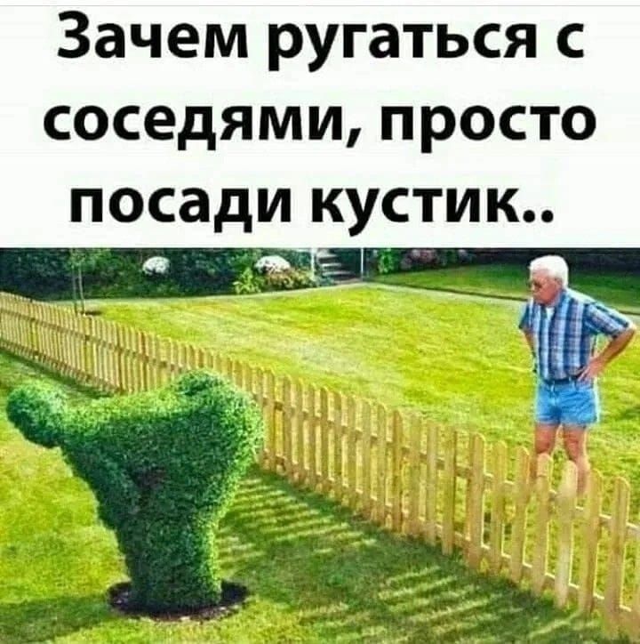 Зачем ругаться с соседями, просто посади кустик..