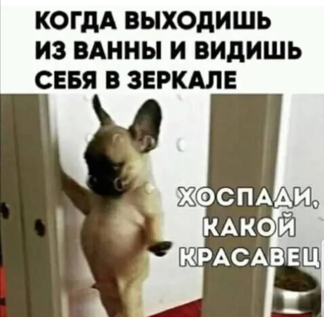 КОГДА ВЫХОДИШЬ ИЗ ВАННЫ И ВИДИШЬ СЕБЯ В ЗЕРКАЛЕ ХОСПАДИ, КАКОЙ КРАСАВЕЦ