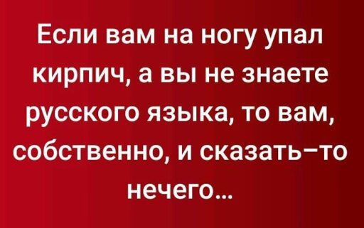 Если вам на ногу упал кирпич, а вы не знаете русского языка, то вам, собственно, и сказать-то нечего...