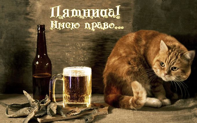 Пятница! Имею право...