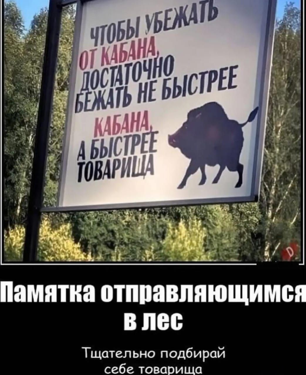 Чтобы убежать от кабана достаточно бежать не быстрее кабана, а быстрее товарища. Памятка отправляющимся в лес — Тщательно подбирай себе товарища