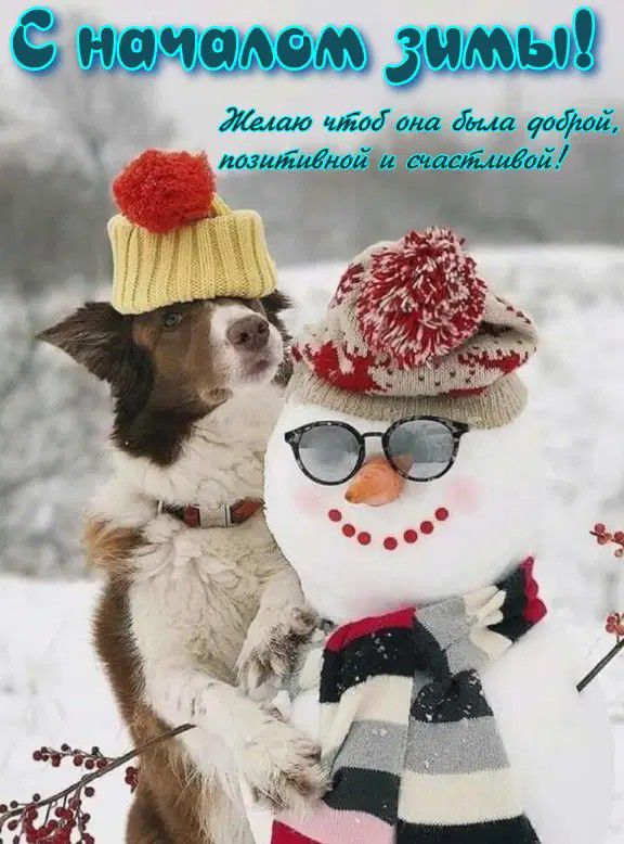 С началом зимы! Желаю чтобы она была доброй, позитивной и счастливой!