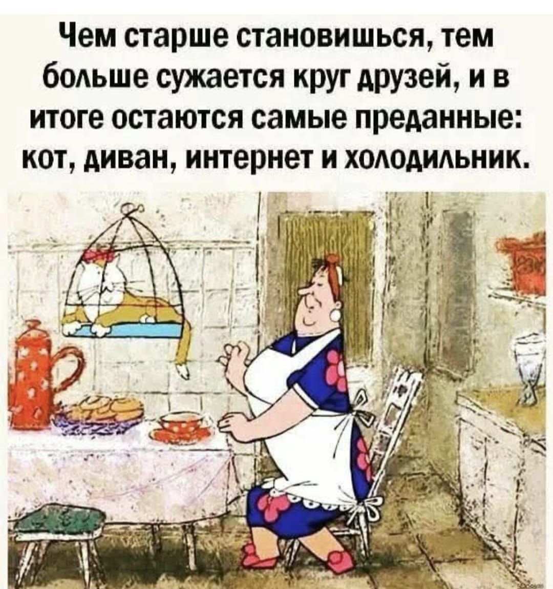 Чем старше становишься, тем больше сужается круг друзей, и в итоге остаются самые преданные: кот, диван, интернет и холодильник.