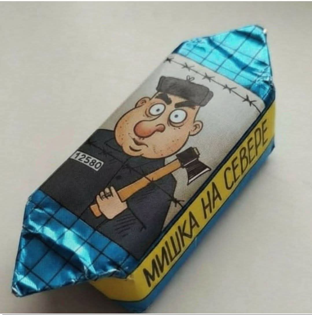 МИШКА НА СЕВЕРЕ