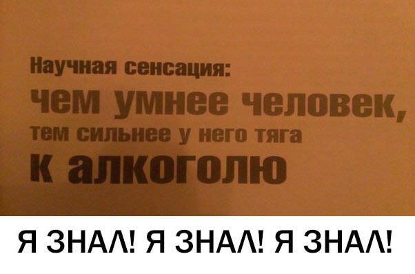 Научная сенсация: чем умнее человек, тем сильнее у него тяга к алкоголю Я ЗНАЛ! Я ЗНАЛ! Я ЗНАЛ!