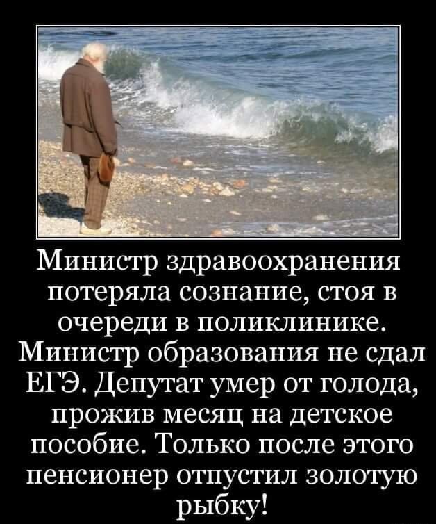 Министр здравоохранения потеряла сознание, стоя в очереди в поликлинике. Министр образования не сдал ЕГЭ. Депутат умер от голода, прожив месяц на детское пособие. Только после этого пенсионер отпустил золотую рыбку!