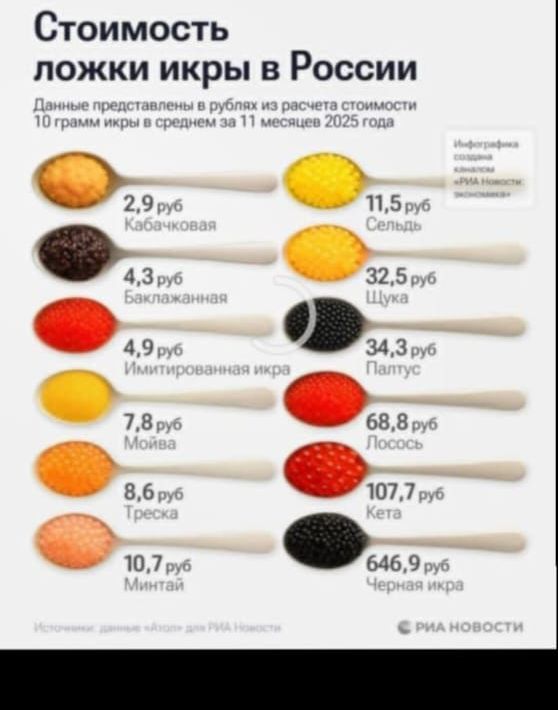 Стоимость ложки икры в России. Данные представлены в рублях из расчета стоимости 10 грамм икры в среднем за 11 месяцев 2025 года. Кабачковая 2,9 руб; Баклажанная 4,3 руб; Имитированная икра 4,9 руб; Мойва 7,8 руб; Треска 8,6 руб; Минтай 10,7 руб; Сельдь 11,5 руб; Щука 32,5 руб; Палтус 34,3 руб; Лосось 68,8 руб; Кета 107,7 руб; Черная икра 646,9 руб.