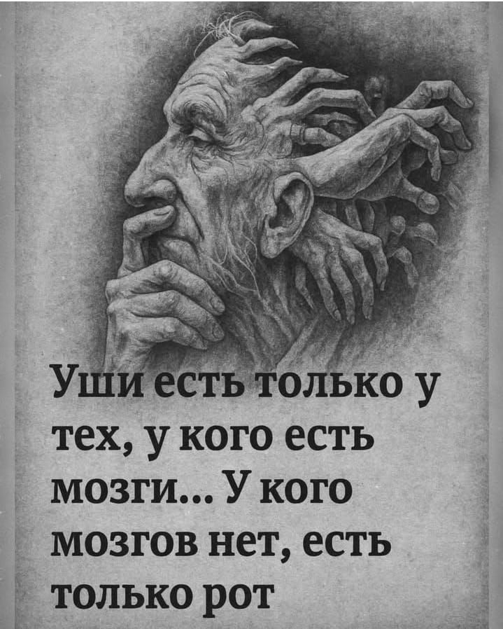 Уши есть только у тех, у кого есть мозги... У кого мозгов нет, есть только рот