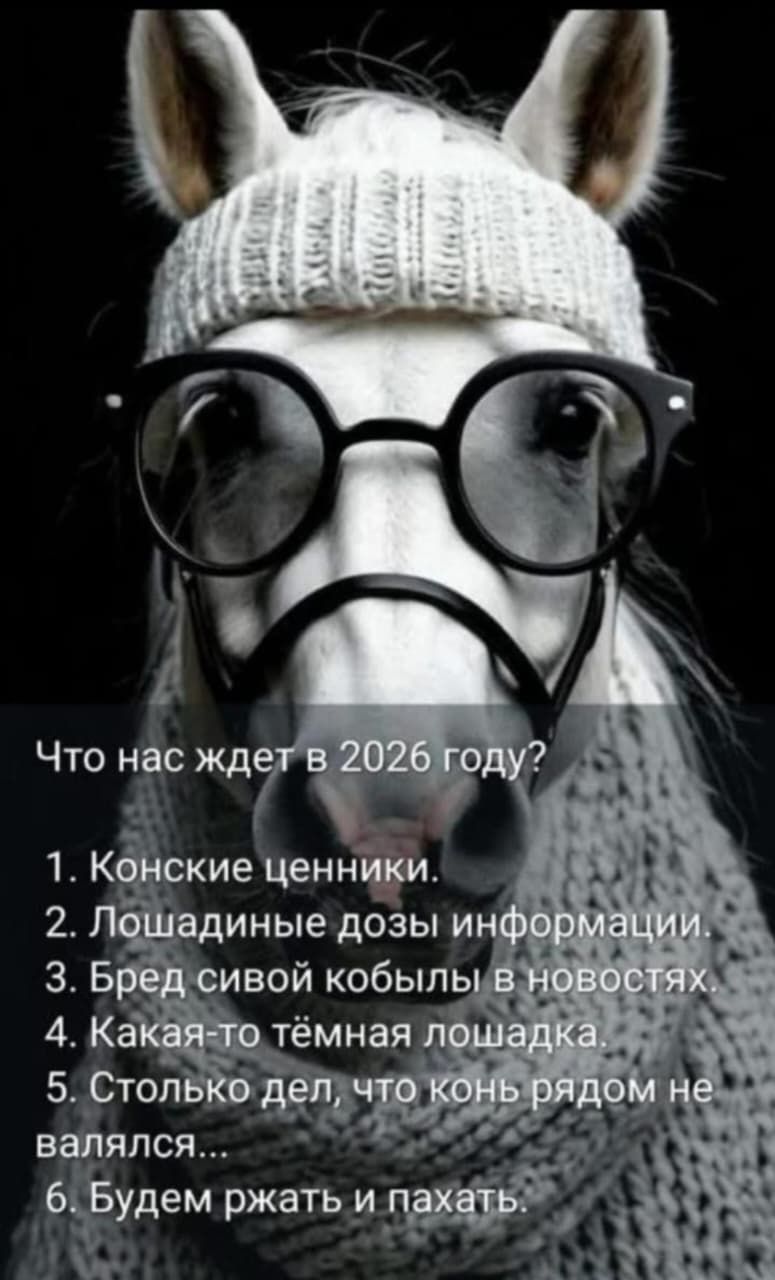Что нас ждёт в 2026 году? 1. Конские ценники. 2. Лошадинные дозы информации. 3. Бред сивой кобылы в новостях. 4. Какая‑то тёмная лошадка. 5. Столько дел, что конь рядом не валялся... 6. Будем ржать и пахать.