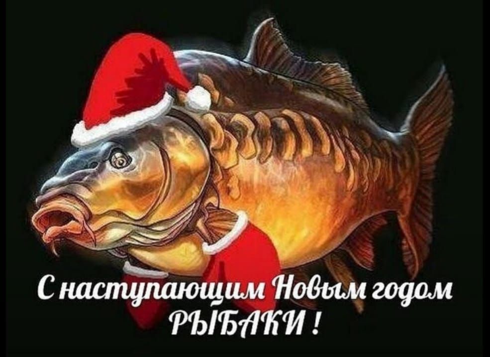С наступающим Новым годом РЫБАКИ !