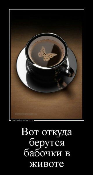 Вот откуда берутся бабочки в жизни