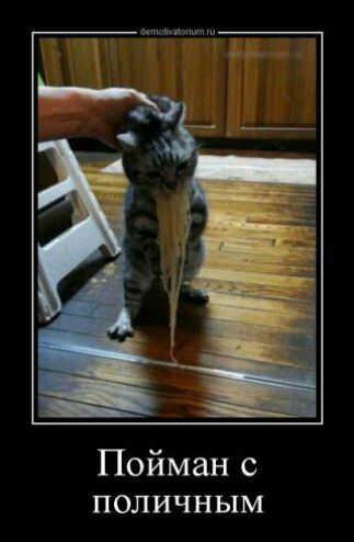 Пойман с поличным