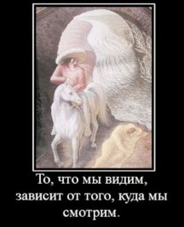 То, что мы видим, зависит от того, куда мы смотрим.