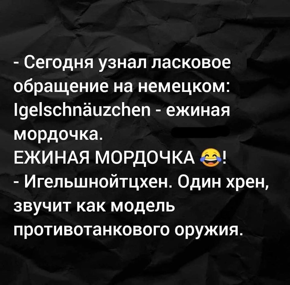 - Сегодня узнал ласковое обращение на немецком: Igelschnäuzchen - ежинaя мордочка. ЕЖИНАЯ МОРДОЧКА 😂! - Игельшойнтчен. Один хрен, звучит как модель противотанкового оружия.