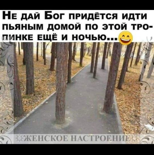 Не дай Бог придётся идти пьяным домой по этой тропинке ещё и ночью... 😁\nЖенское настроение