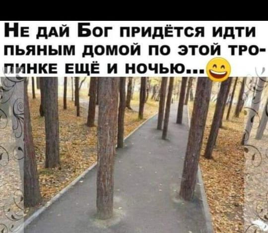 Не дай Бог придётся идти пьяным домой по этой тропинке ещё и ночью... 😄
