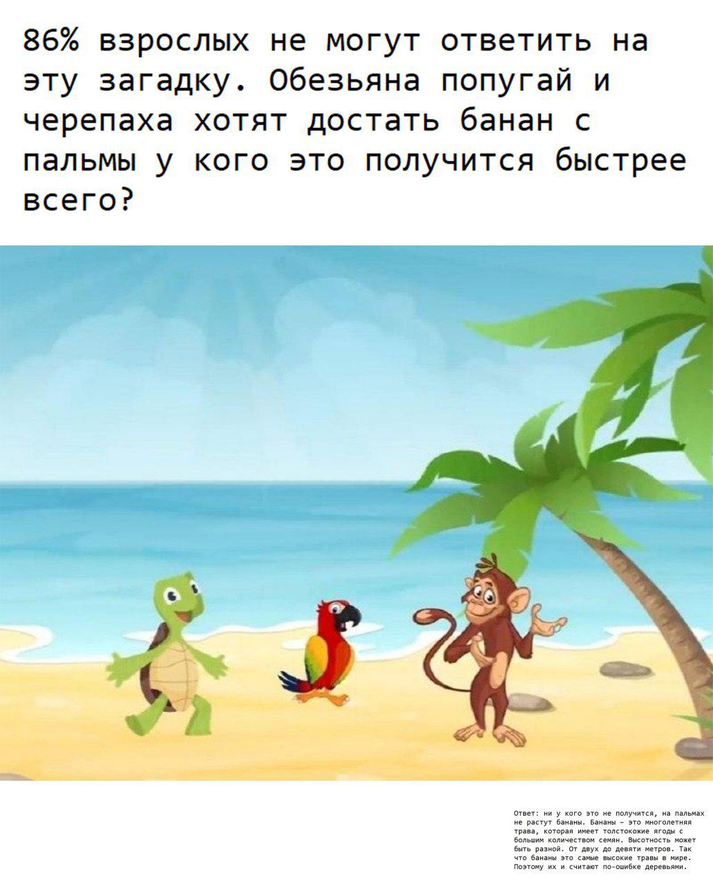 86% взрослых не могут ответить на эту загадку. Обезьяня попугай и черепаха хотят достать банан с пальмы у кого это получится быстрее всего?