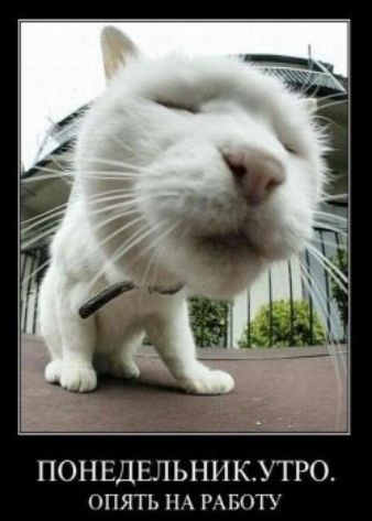 ПОНЕДЕЛЬНИК.УТРО. ОПЯТЬ НА РАБОТУ