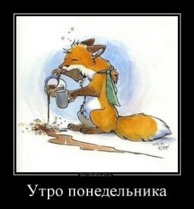 Утро понедельника