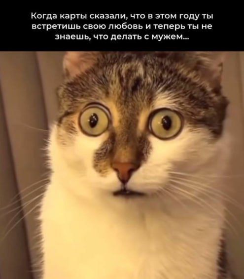 Когда карты сказали, что в этом году ты встретишь свою любовь и теперь ты не знаешь, что делать с мужем...