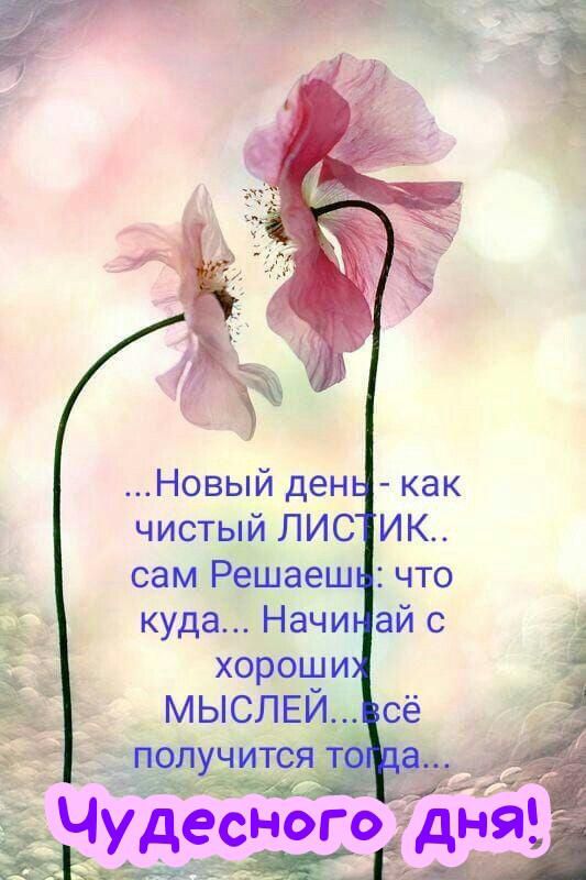 ...Новый день - как чистый ЛИСТИК.. сам Решаешь: что куда... Начинай с хороших МЫСЛЕЙ... всё получится тогда... Чудесного дня!
