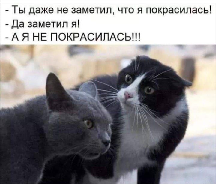 - Ты даже не заметил, что я покрасилась!\n- Да заметил я!\n- А Я НЕ ПОКРАСИЛАСЬ!!!