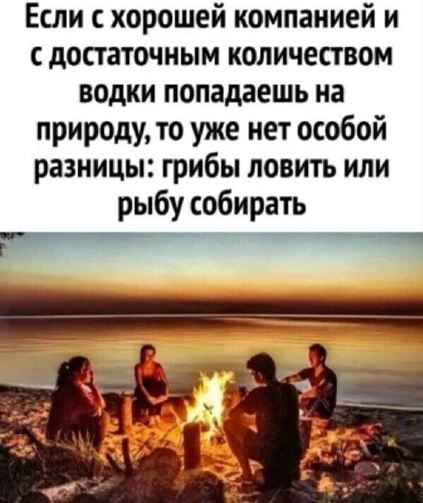Если с хорошей компанией и с достаточным количеством водки попадаешь на природу, то уже нет особой разницы: грибы ловить или рыбу собирать
