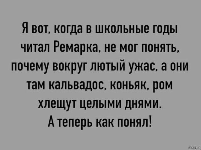 Я вот, когда в школьные годы читал Ремарка, не мог понять, почему вокруг лютый ужас, а они там кальвадос, коньяк, ром хлещут целыми днями. А теперь как понял!