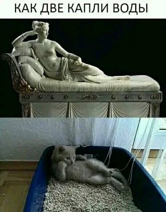 КАК ДВЕ КАПЛИ ВОДЫ