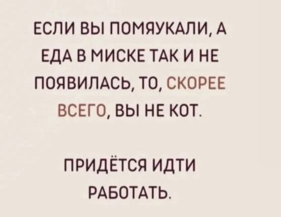 Если вы помяука́ли, а еда в миске так и не появилась, то, скорее всего, вы не кот. Придётся идти работать.