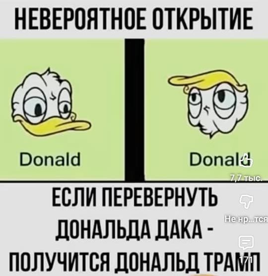 НЕВЕРОЯТНОЕ ОТКРЫТИЕ\nЕСЛИ ПОВЕРНУТЬ ДОНАЛЬДА ДАКА - ПОЛУЧИТСЯ ДОНАЛЬД ТРАМП