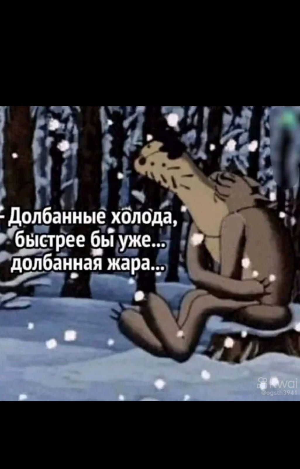 Долбанные холода, быстрее бы уже... долбанная жара...