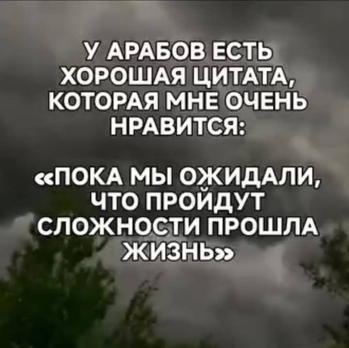 У АРАБОВ ЕСТЬ ХОРОШАЯ ЦИТАТА, КОТОРАЯ МНЕ ОЧЕНЬ НРАВИТСЯ: «ПОКА МЫ ОЖИДАЛИ, ЧТО ПРОЙДУТ СЛОЖНОСТИ ПРОШЛА ЖИЗНЬ»
