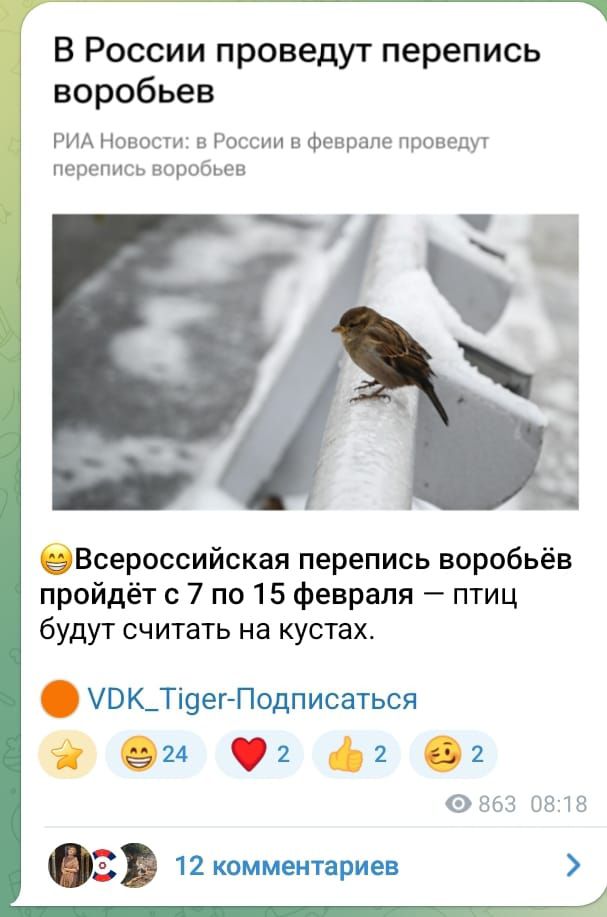 В России проведут перепись воробьёв. РИА Новости: в России в феврале проведут перепись воробьёв. Всероссийская перепись воробьёв пройдёт с 7 по 15 февраля — птицы будут считать на кустах.