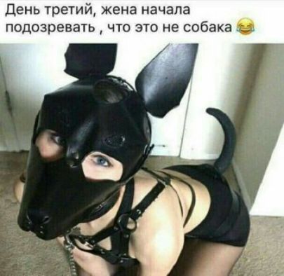 День третий, жена начала подозревать , что это не собака