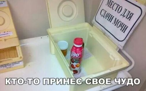 КТО-ТО ПРИНЁС СВОЁ ЧУДО